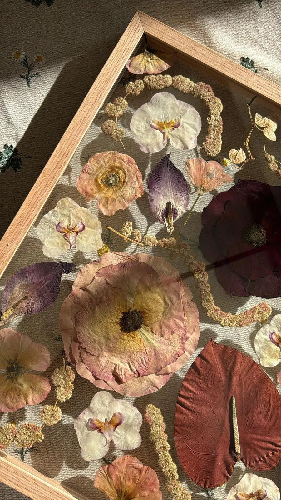 Close-up of pressed orchids, poppies and roses inside an oak frame