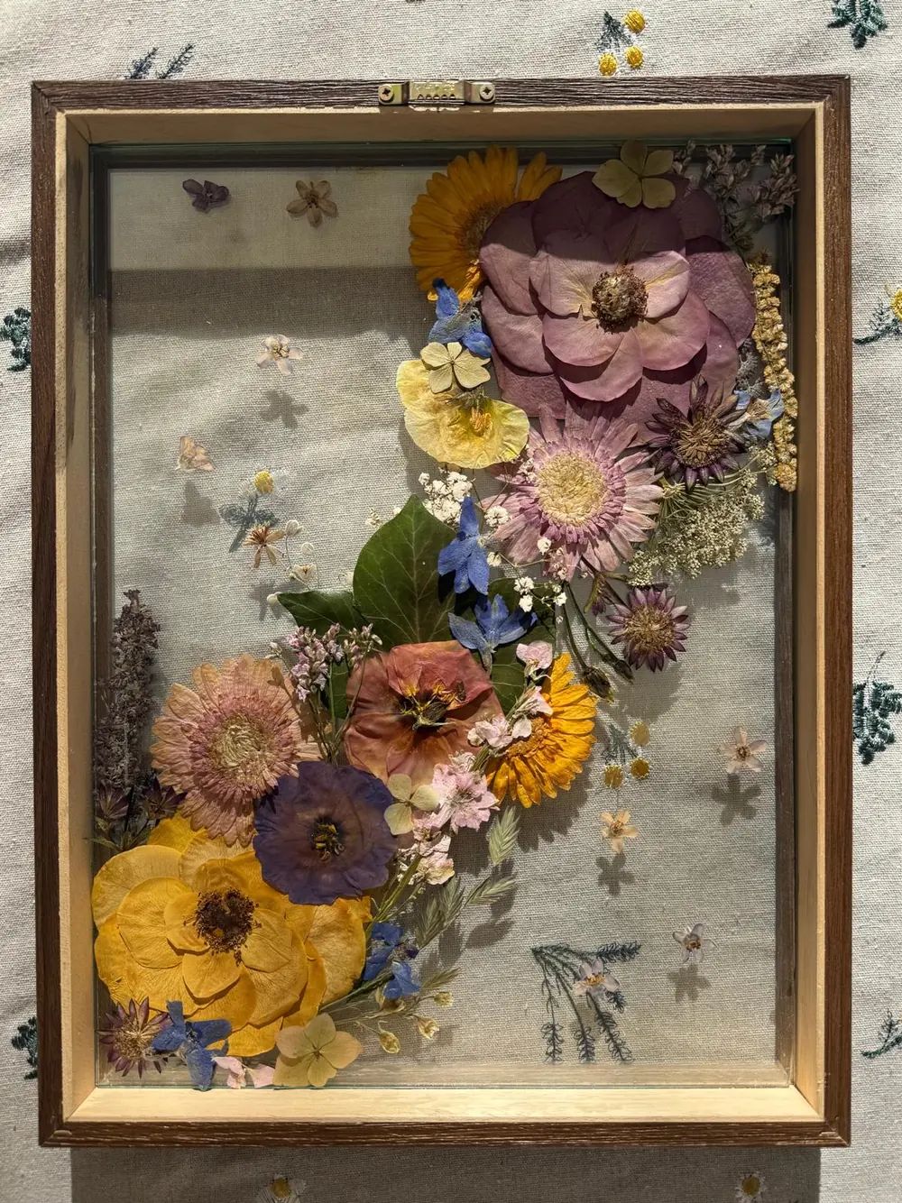 Walnut shadow box with a diagonal cascade of pressed roses, gerberas and delphinium